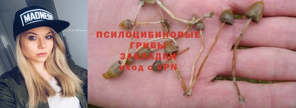 героин Алзамай