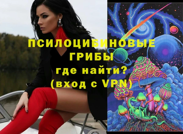 герыч Алексин